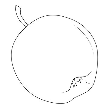 Ripe apple. Vector illustration, coloring page, line art, black and white.