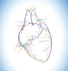 Illustration of colored lines and intersection of heart, modern style on white background. It is used in medicine, commerce, industy and education.