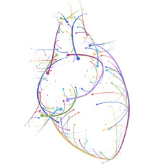 Fototapeta premium Illustration of colored lines and intersection of heart, modern style on white background. It is used in medicine, commerce, industy and education.