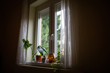The inside windowsill of an apartment with potted flowers and a table lamp

