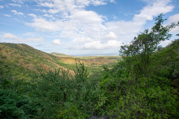 Walking tour to climb a mountain and visit La Piedra de Rivero, a rock formation that has a cave inside and is a reservoir for bats. Protected area