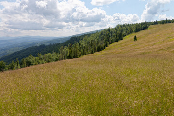 Krajobraz Beskidów ze szlaku na Baranią Górę