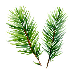 Tannenzweig Aquarell Grün Weihnachtsschmuck Natur Illustration Handgemalt Botanik Zweig Wandkunst Festliche Dekoration Geschenk