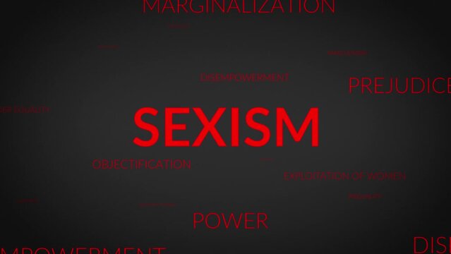 Unveiling Perspectives: A Dynamic Zoom into Sexism Related Themes