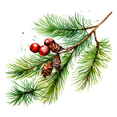 Tannenzweig Aquarell Beeren Weihnachten gemalt Naturillustration Grün Rot Wanddeko Festliche Dekoration Wintergeschenk