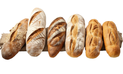 A collection of traditional fresh crusty baked white loaves of bread isolated on transparent background