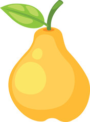 illustration of quince white on background vector