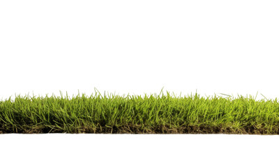 green grass isolated on transparent background