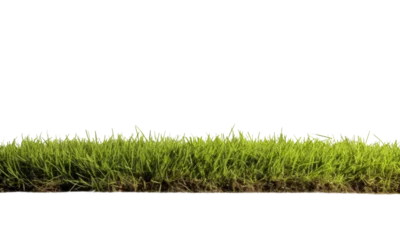 Zelfklevend Fotobehang green grass isolated on transparent background © Denis