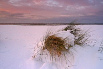 Zima na wybrzeżu Morza Bałtyckiego - obrazy, fototapety, plakaty