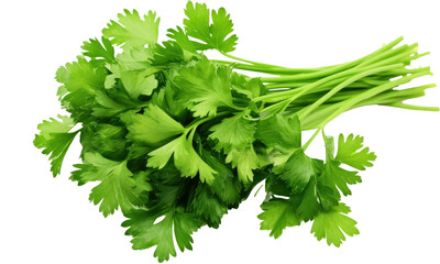 parsley isolated on transparent background