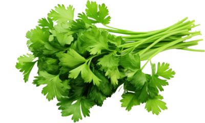 parsley isolated on transparent background