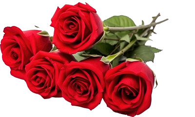 bouquet of red roses isolated  on transparent background