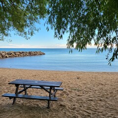 bench on the beach