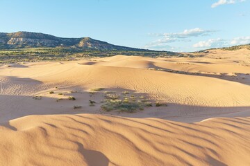 The stunning Coral Pink Sand Dunes State Park in southern Utah