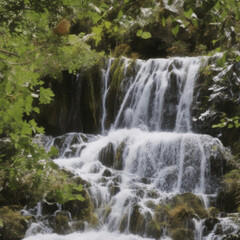 Obraz premium waterfall in the forest