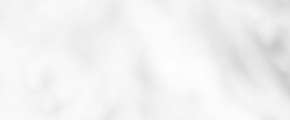 Vector Blur gray leaves with bokeh, abstract background, gray gradient, white Pastel background Used in a variety of design