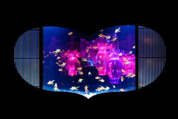 Goldfish pet freedom swimming in aquarium heart shape art design with illuminated pink neon light effect isolated on black background
