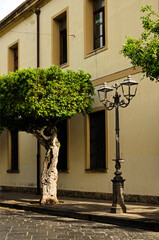 Scenic landscape view of typical street in small Sicilian village. Vintage lantern and green leaves ficus tree. Colorful facade in the background. Santo Stefano di Camastra, Sicily, Italy