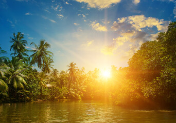 lake with mangrove forests on the shore and a bright sunset. Sri Lanka - obrazy, fototapety, plakaty