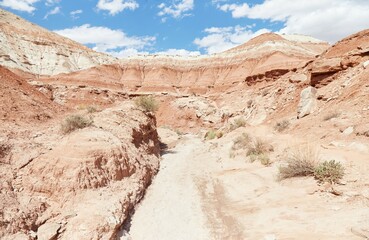 The surreal Toadstool Hoodoos in Utah's Grand Staircase-Escalante National Monument