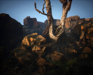 Trunk of dead tree in rocky landscape.