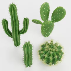 Deurstickers Cactus Realistic 3D Render of Cactuses Set
