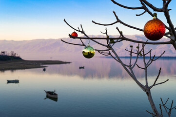 Christmas balls on a tree at Lake Kerkini at sunset in northern Greece