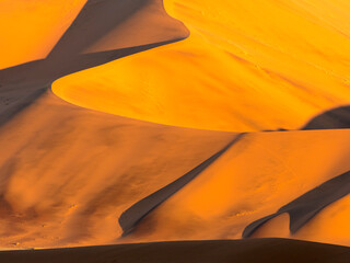 Late afternoon sun imparts a golden hue to sand dunes in Namib-Naukluft Park; Sossusvlei, Namibia