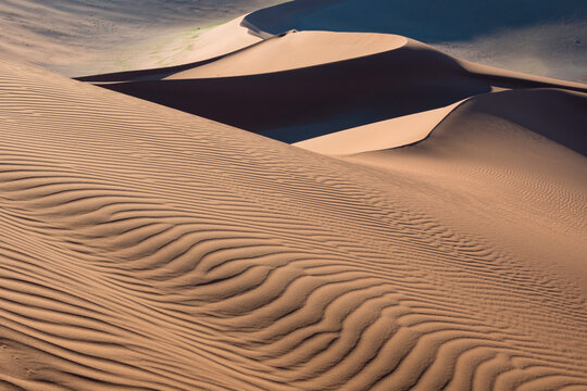 Interplay of light and shadow on the windswept dunes of Namib-Naukluft Park; Sossusvlei, Namibia