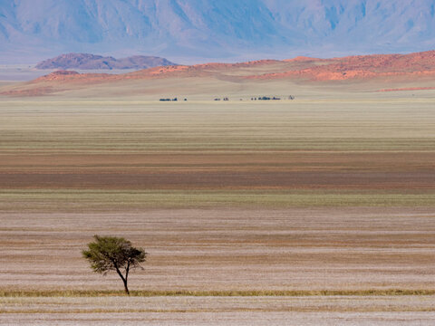 Colorful view of the open plains at Tirasberge; Tirasberge, Schwarzrand, Namibia