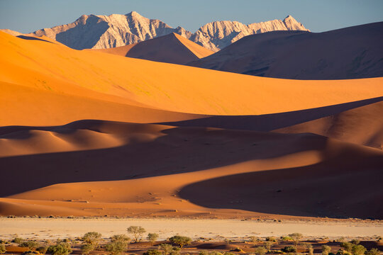 Sand dunes and the Naukluft Mountains in late afternoon light in Namib-Naukluft Park; Sossusvlei, Namibia