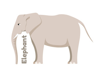 Wild African animal vector concept