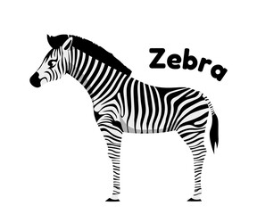 Wild African animal vector concept