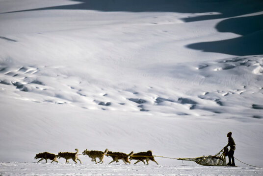 Dogsledder travels across the snow on Ruth Glacier in Denali National Park and Preserve; Alaska, United States of America