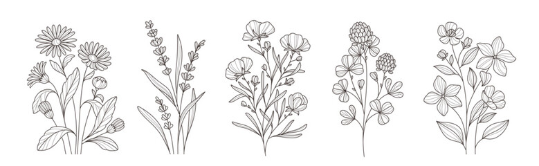 Vector Set of minimalistic flower branches in line art style