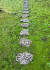 Camino de piedra con fondo de hierba