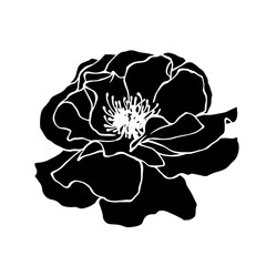 Silhouette of a flower, rose bud. Decorative botanical element. Vector graphics.