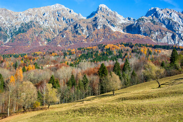 the beautiful autumn in the mountains of Chies d'Alpago in the province of Belluno Italy