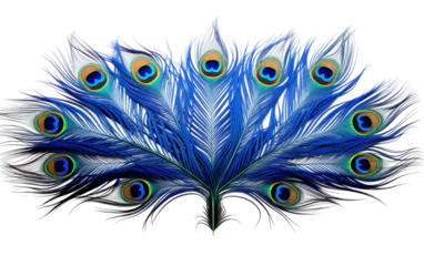 Keuken spatwand met foto Exploring the Complex Patterns of a Peacocks Plume Isolated on Transparent Background PNG. © Saad