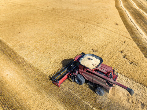 Overhead aerial view of a combine in a grain field at harvest with a full hopper of grain, near Beiseker, Alberta; Alberta, Canada