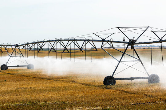 Large irrigation equipment on wheels watering a grain field, East of Calgary, Alberta; Alberta, Canada