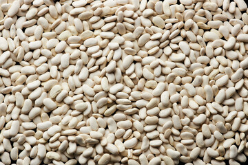 Top view macro shot of white beans as food texture background, copy space