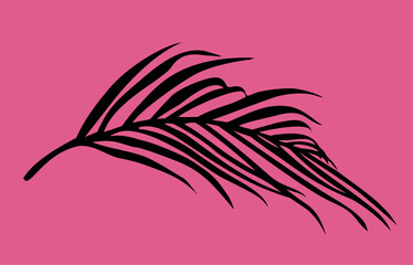 Palm Tree Leaf Black Silhouette Vector Drawing.Tropical exotic leaves stencil shadow isolated on pink background.Posters,Cards,Photo,Overlay,Print,Vinyl wall sticker decal.Plotter laser cutting.