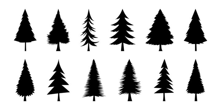 Black silhouettes of Christmas trees. New Year's decorative elements of nature and forest. Pine, fir, spruce black illustration. Set hand drawn simple silhouette of Christmas tree for winter holidays.