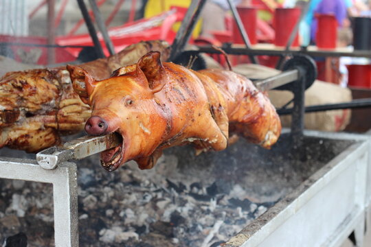 Pig on a spit image. Traditional cuisine pork meat on fire. Pig roasted on a barbecue grill photo.  Steaks and meat cooked on a wood fire grill.