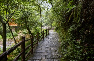 Obraz premium Golden Whip Stream in Zhangjiajie National Forest Park, Hunan, China