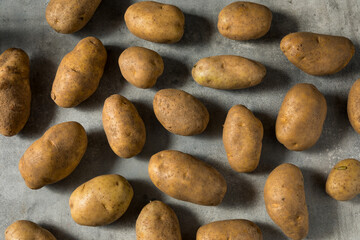 Raw Organic Idaho Russet Potatoes
