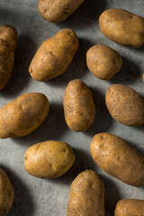 Raw Organic Idaho Russet Potatoes