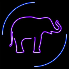 elephant neon sign, modern glowing banner design, colorful modern design trends on black background. Vector illustration.